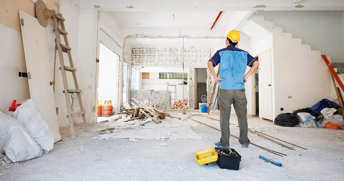 Dedetização pós-reforma