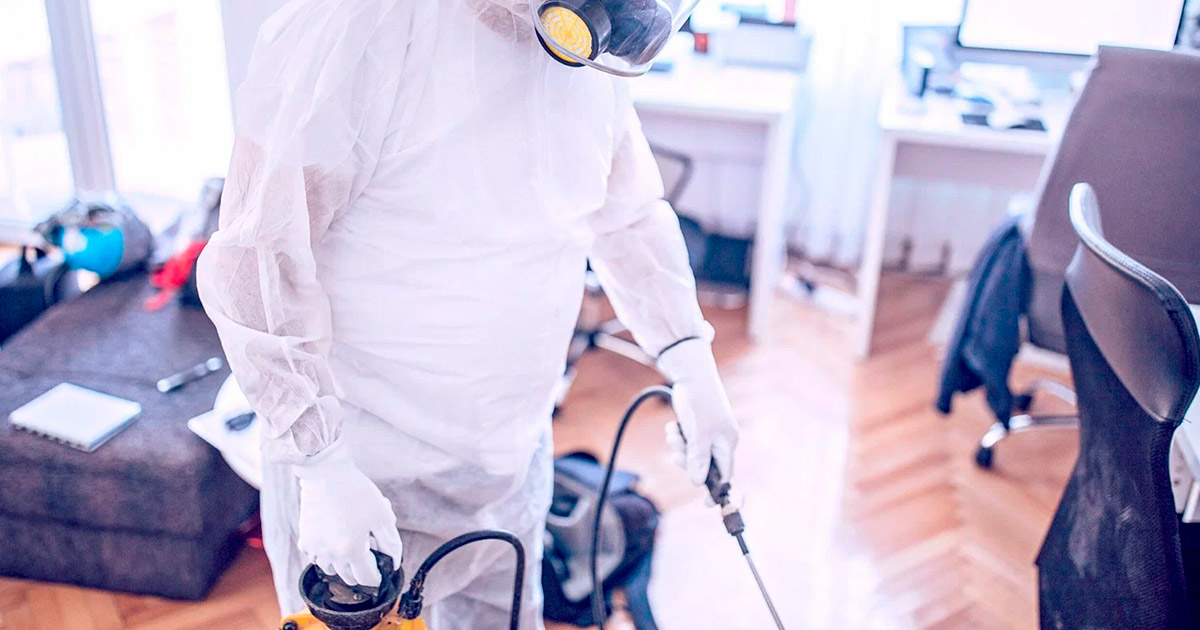 contratar dedetização