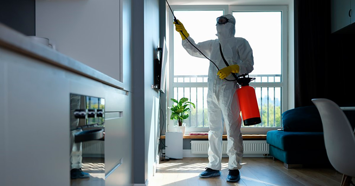 dedetização regular