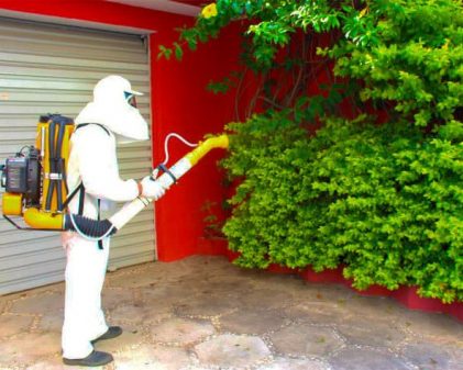 Dedetizadora na Vila São Francisco