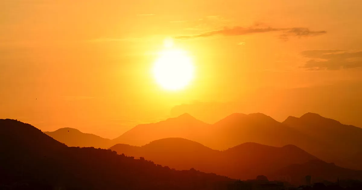 A importância da dedetização no verão