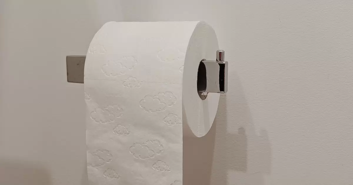 Melhor forma para o descarte de papel higiênico