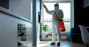 dedetização regular